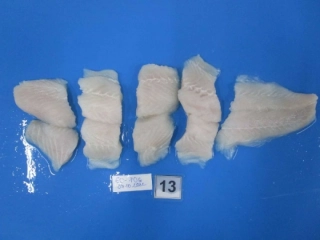 パンガシウス切身