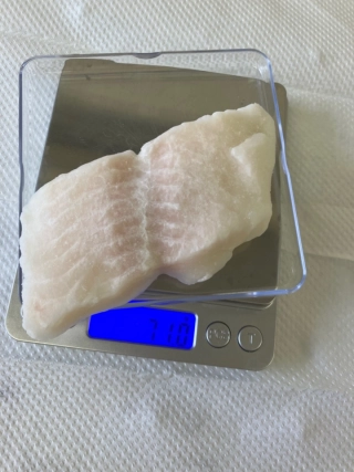 パンガシウス切身