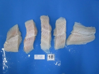 パンガシウス切身