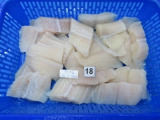 パンガシウス切身