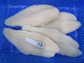Frozen Pangasius Fillets