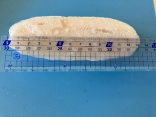 舌平目ポーション